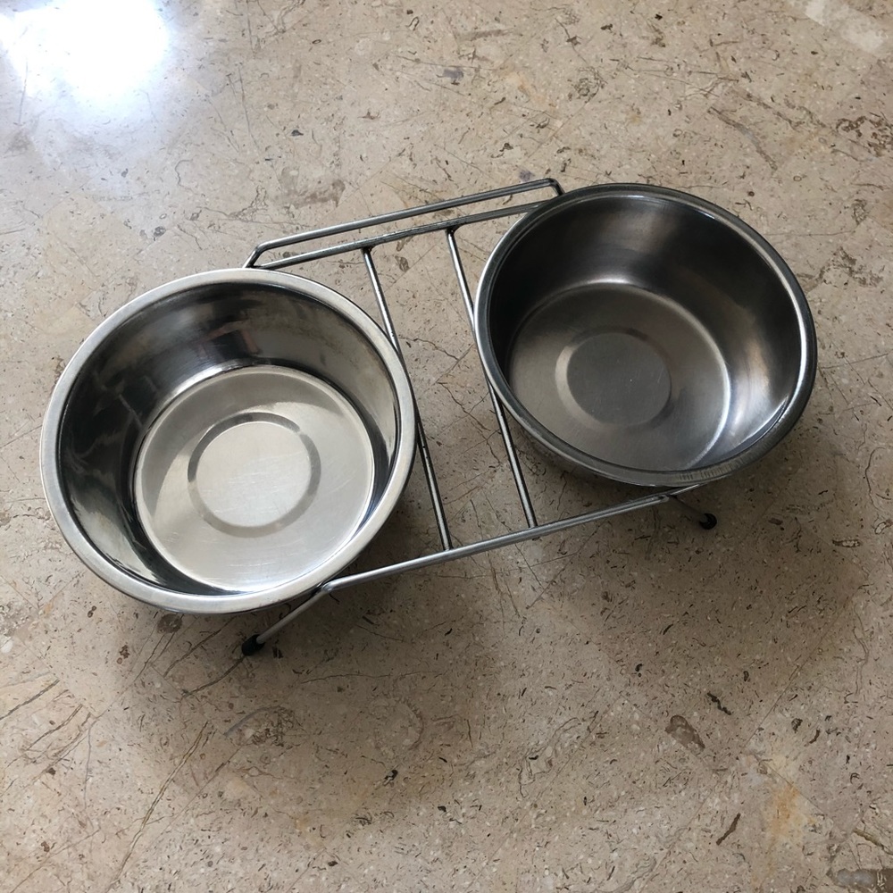 Dog bowls, leash, and harness